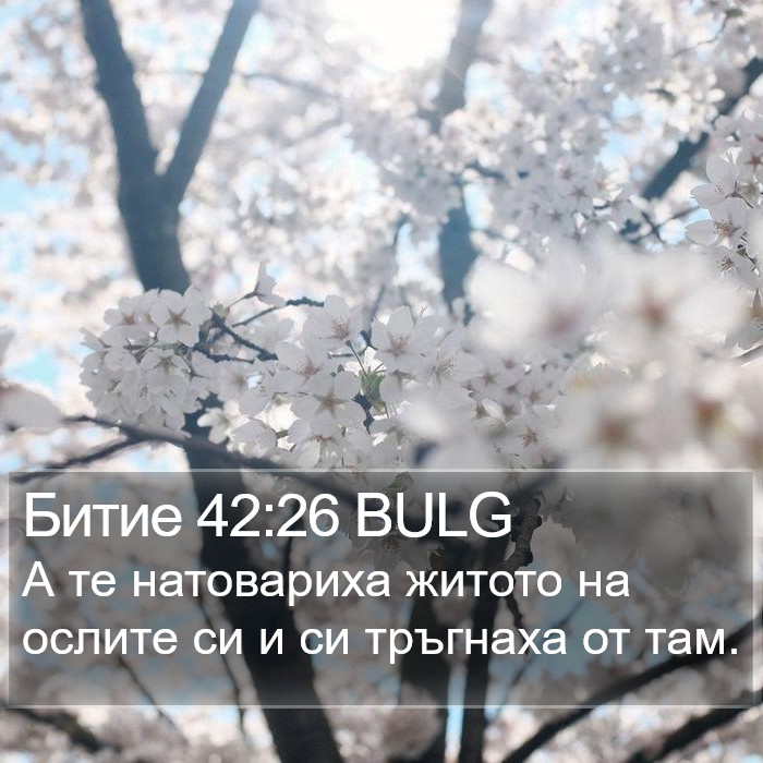 Битие 42:26 BULG Bible Study