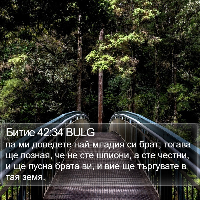 Битие 42:34 BULG Bible Study