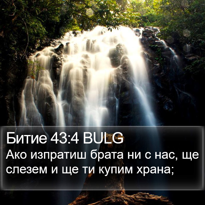 Битие 43:4 BULG Bible Study