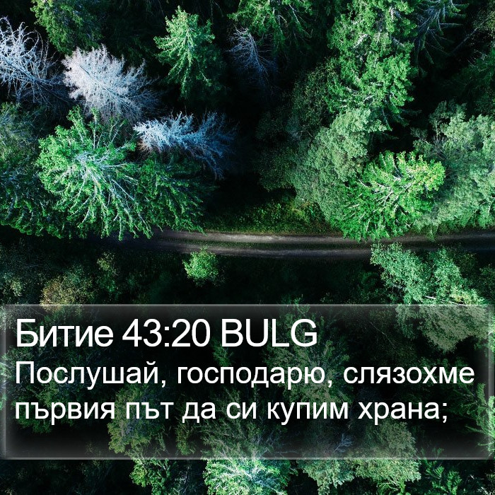 Битие 43:20 BULG Bible Study