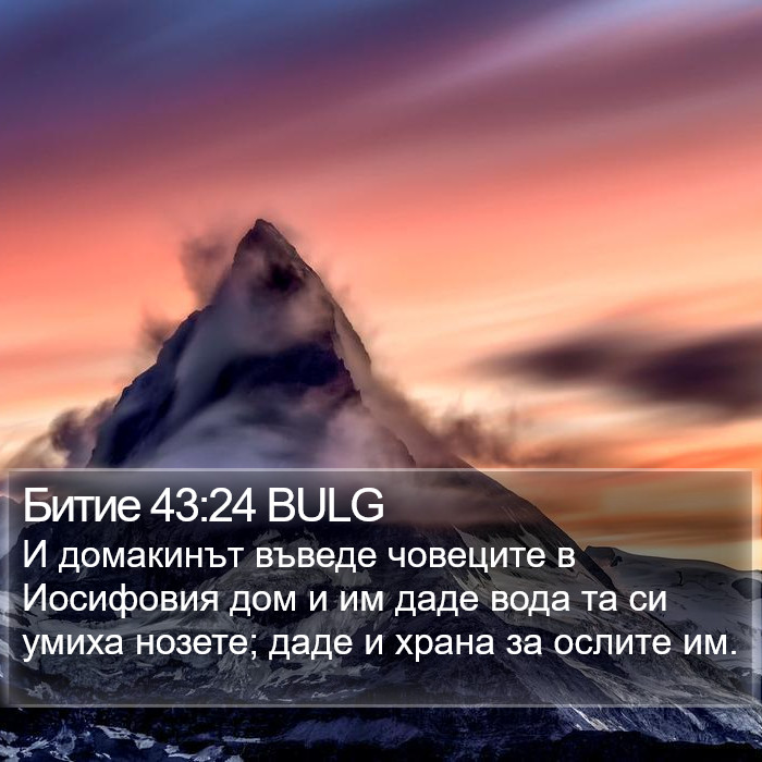 Битие 43:24 BULG Bible Study