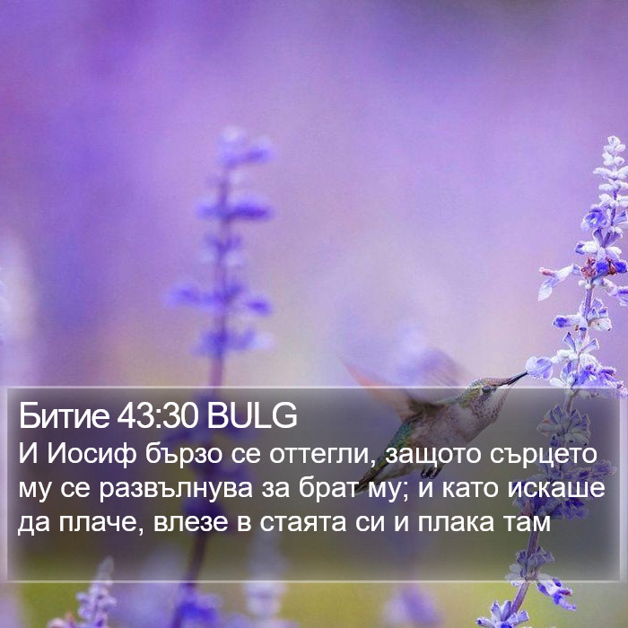 Битие 43:30 BULG Bible Study