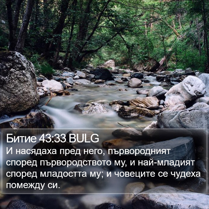 Битие 43:33 BULG Bible Study