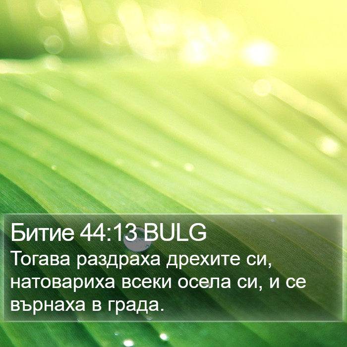 Битие 44:13 BULG Bible Study