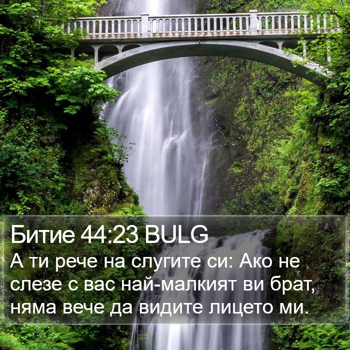 Битие 44:23 BULG Bible Study