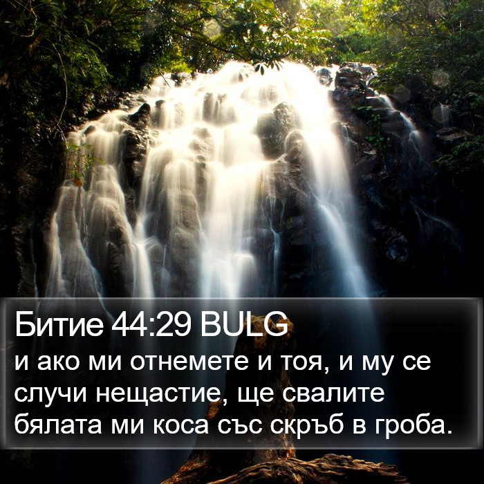 Битие 44:29 BULG Bible Study