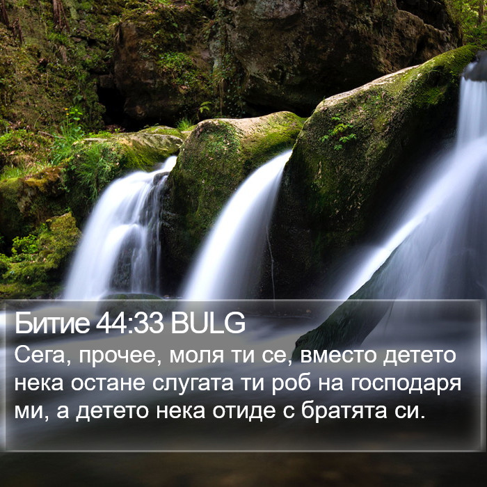 Битие 44:33 BULG Bible Study