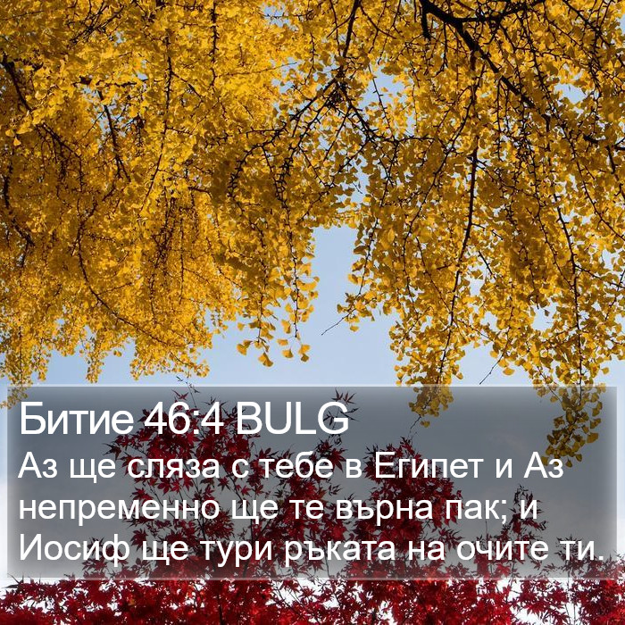 Битие 46:4 BULG Bible Study