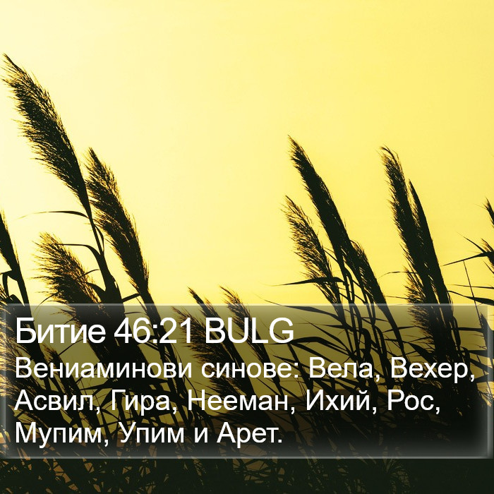 Битие 46:21 BULG Bible Study