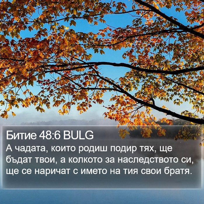 Битие 48:6 BULG Bible Study