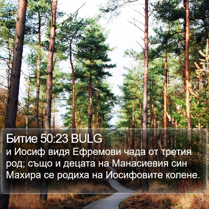 Битие 50:23 BULG Bible Study