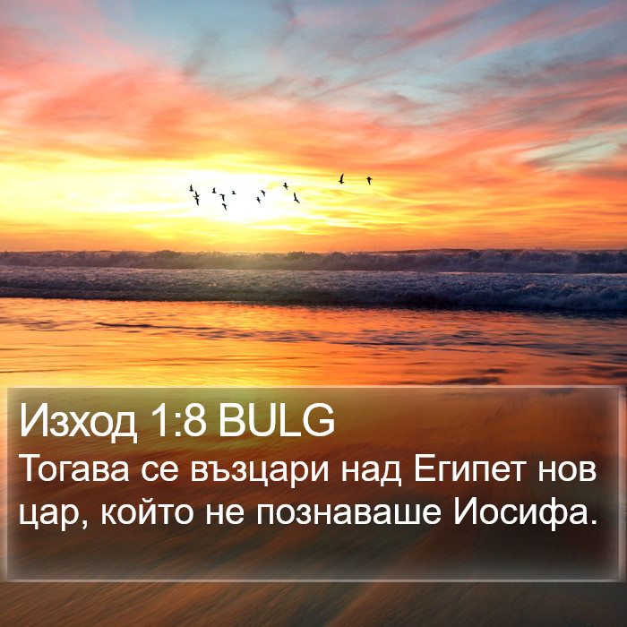 Изход 1:8 BULG Bible Study