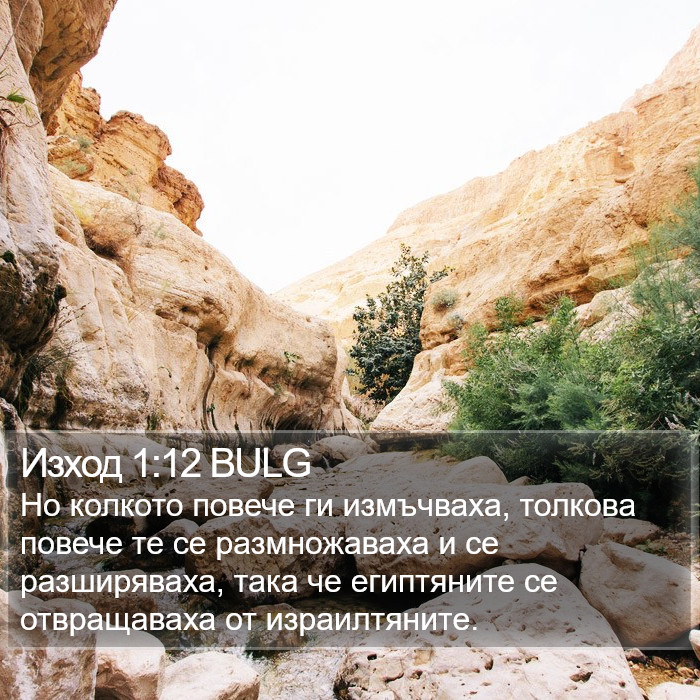 Изход 1:12 BULG Bible Study