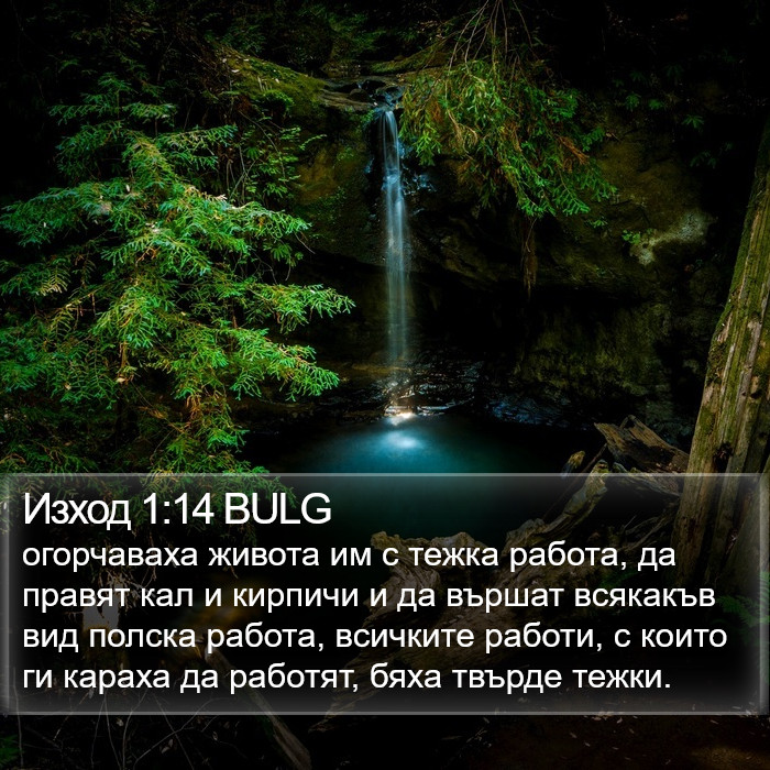 Изход 1:14 BULG Bible Study