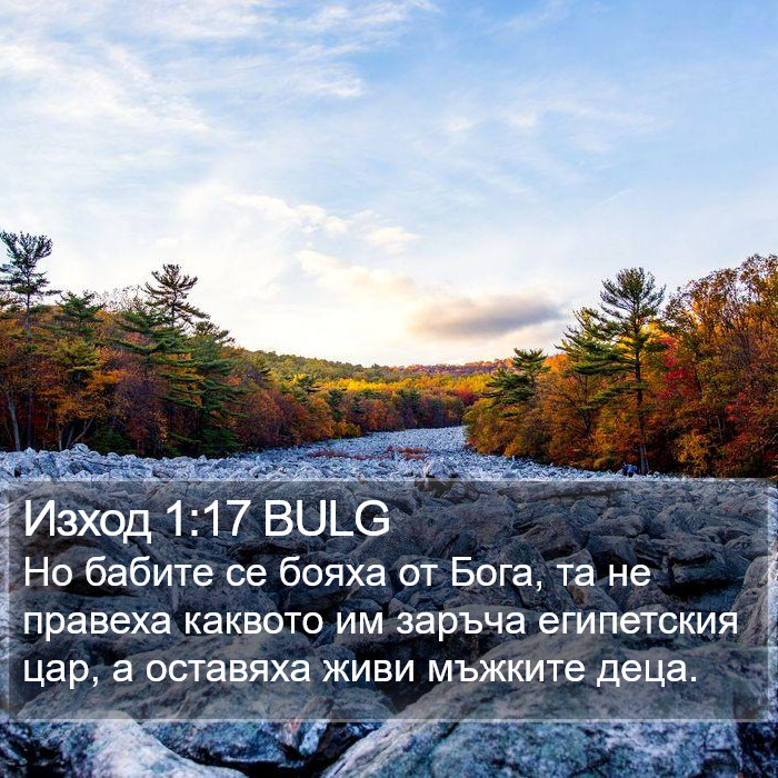 Изход 1:17 BULG Bible Study