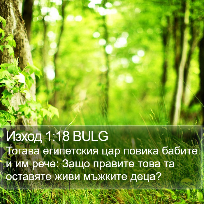 Изход 1:18 BULG Bible Study