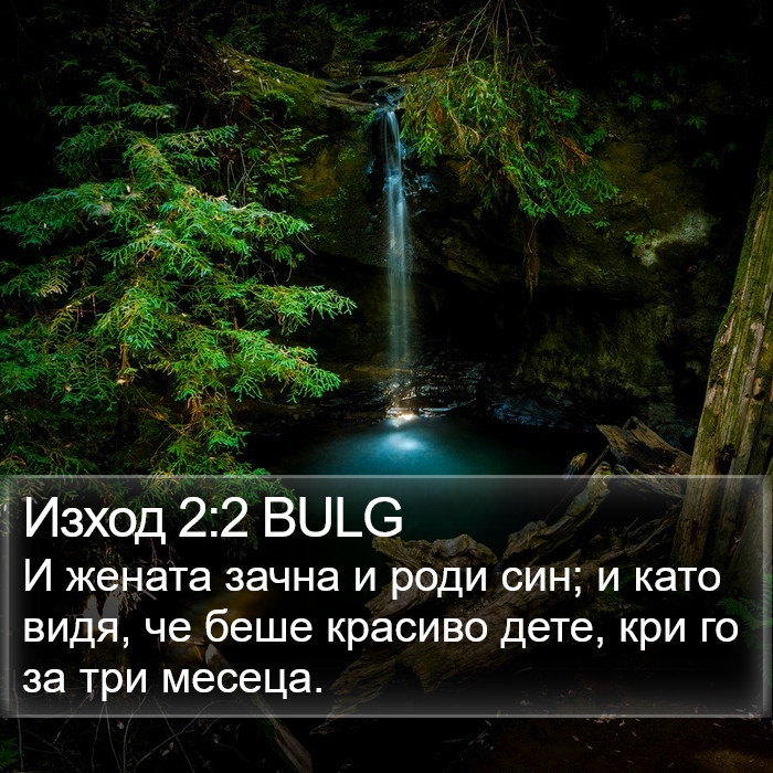 Изход 2:2 BULG Bible Study