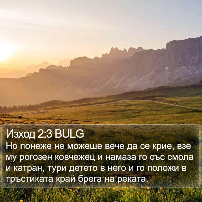 Изход 2:3 BULG Bible Study