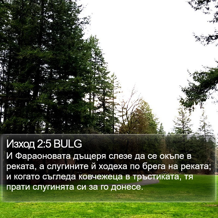 Изход 2:5 BULG Bible Study