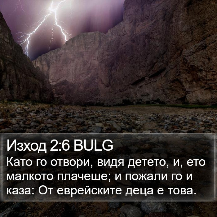 Изход 2:6 BULG Bible Study