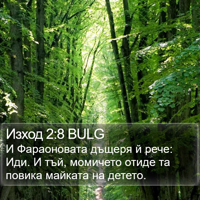 Изход 2:8 BULG Bible Study