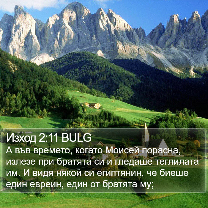 Изход 2:11 BULG Bible Study