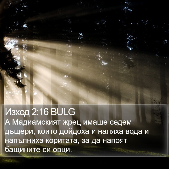 Изход 2:16 BULG Bible Study