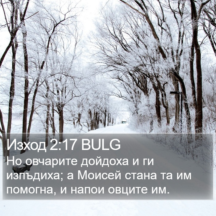 Изход 2:17 BULG Bible Study