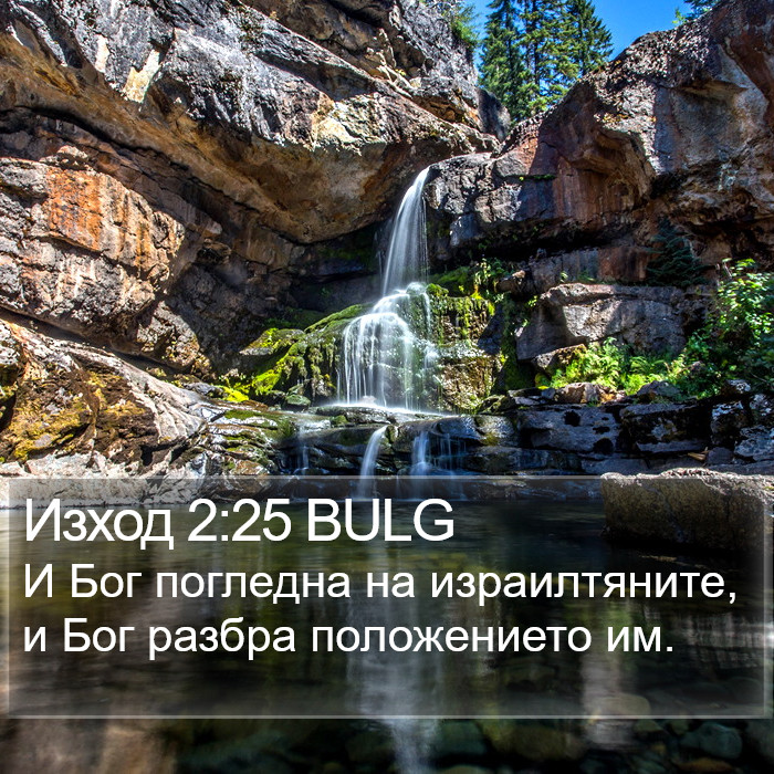 Изход 2:25 BULG Bible Study