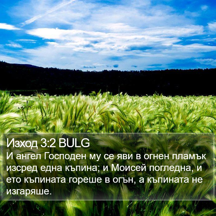 Изход 3:2 BULG Bible Study