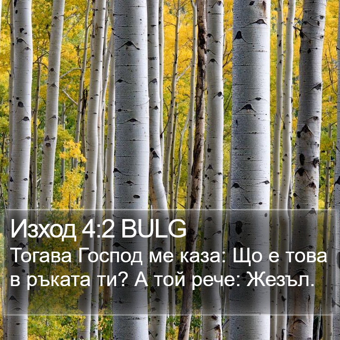 Изход 4:2 BULG Bible Study