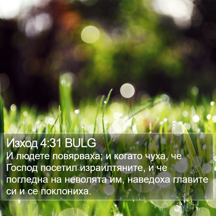 Изход 4:31 BULG Bible Study