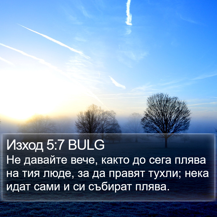 Изход 5:7 BULG Bible Study