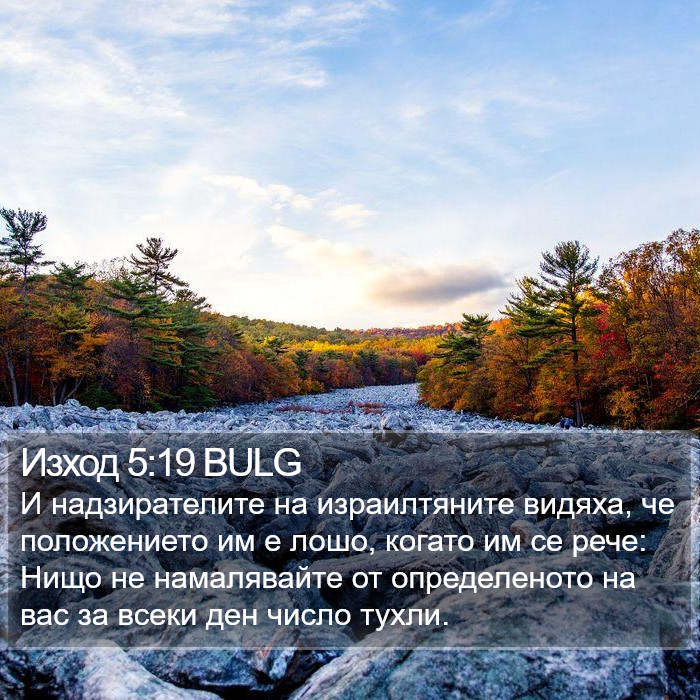 Изход 5:19 BULG Bible Study