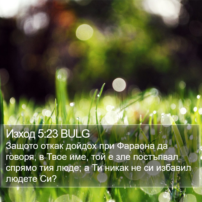 Изход 5:23 BULG Bible Study