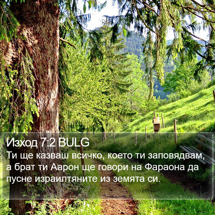 Изход 7:2 BULG Bible Study