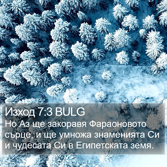 Изход 7:3 BULG Bible Study