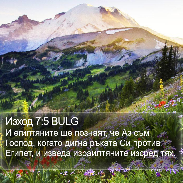 Изход 7:5 BULG Bible Study