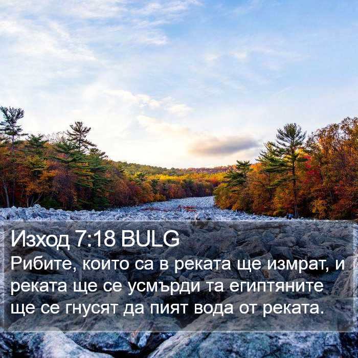 Изход 7:18 BULG Bible Study