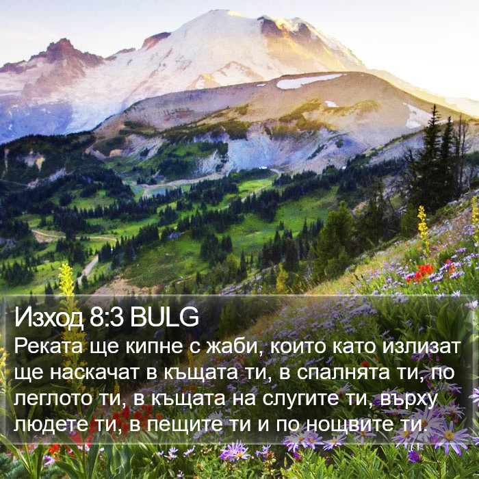 Изход 8:3 BULG Bible Study