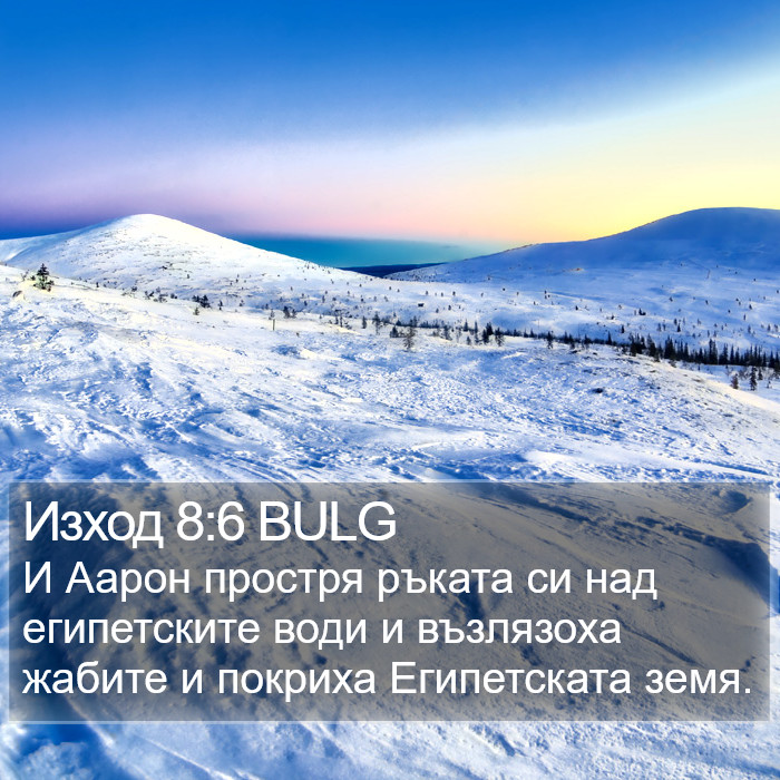 Изход 8:6 BULG Bible Study