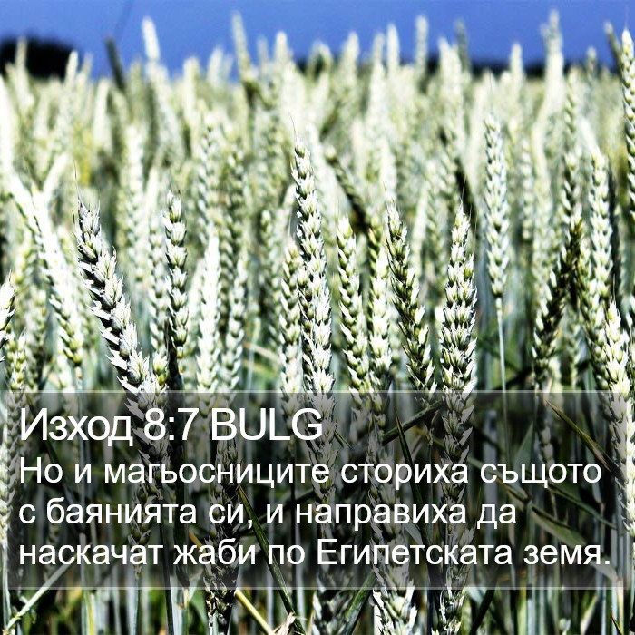 Изход 8:7 BULG Bible Study