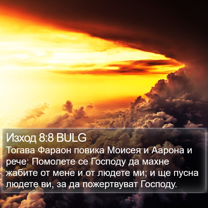 Изход 8:8 BULG Bible Study