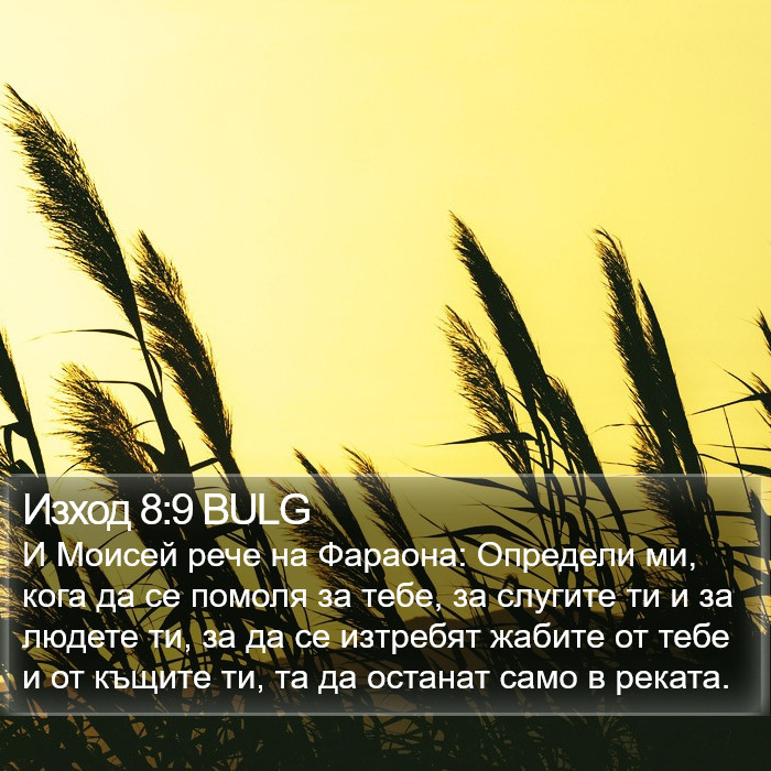 Изход 8:9 BULG Bible Study