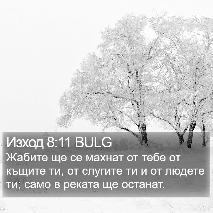 Изход 8:11 BULG Bible Study