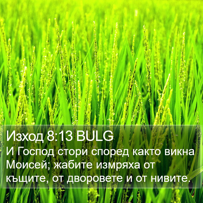 Изход 8:13 BULG Bible Study