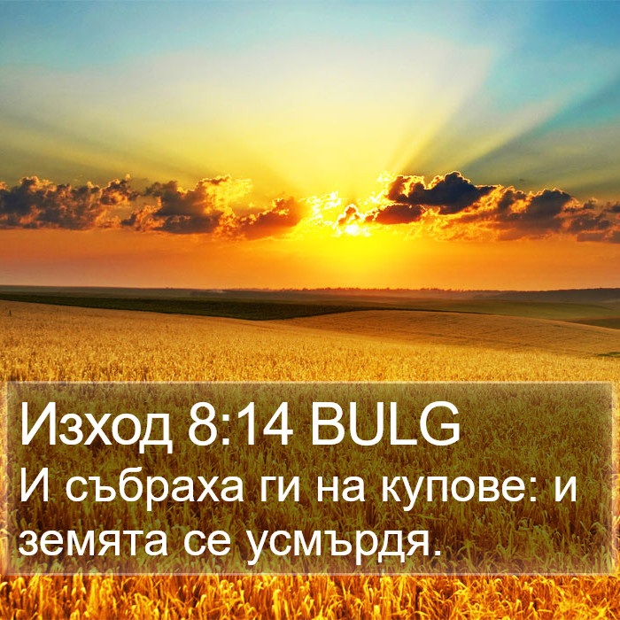 Изход 8:14 BULG Bible Study