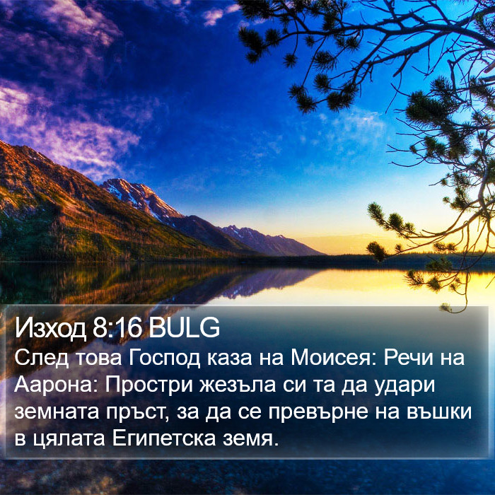 Изход 8:16 BULG Bible Study