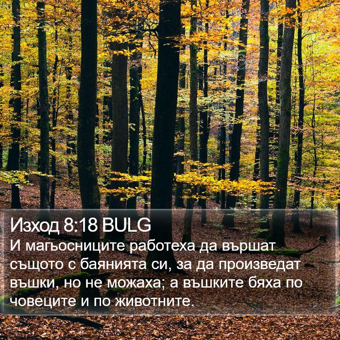 Изход 8:18 BULG Bible Study