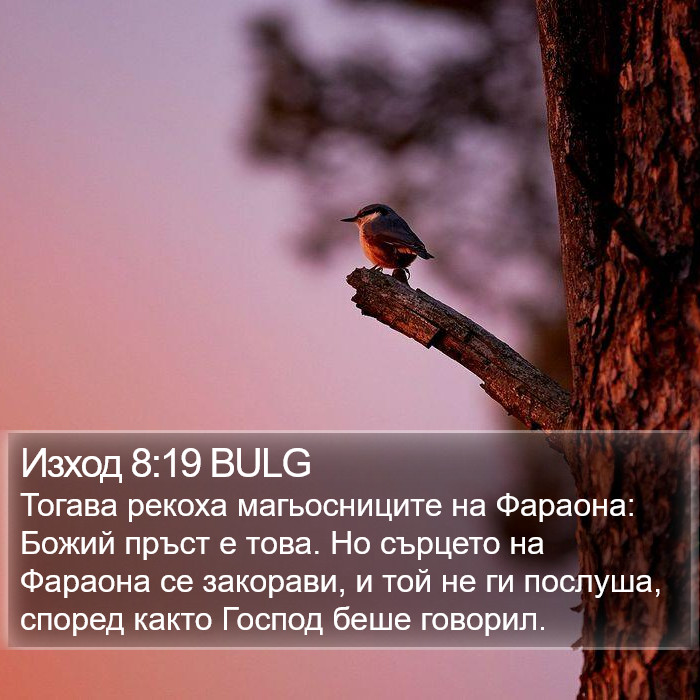 Изход 8:19 BULG Bible Study